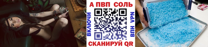 где найти   Сочи  Альфа ПВП СК КРИС 