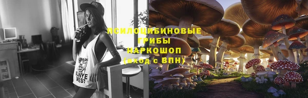 тгк Алзамай