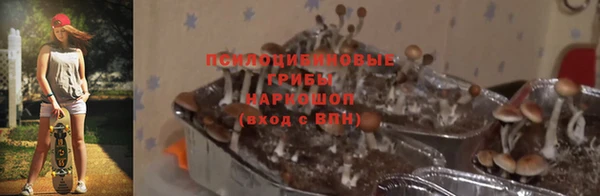 ECSTASY Алексеевка