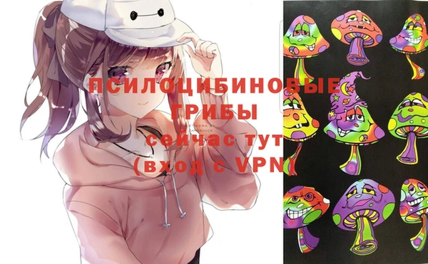 тгк Алзамай