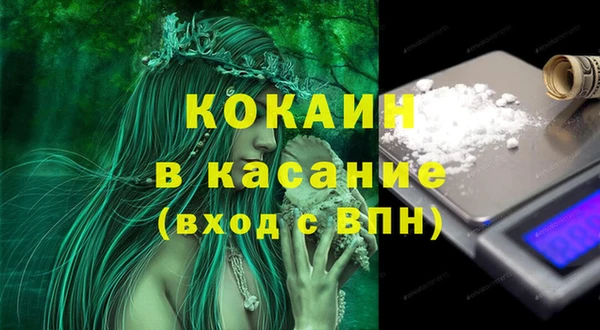 тгк Алзамай