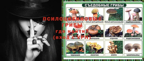 тгк Алзамай